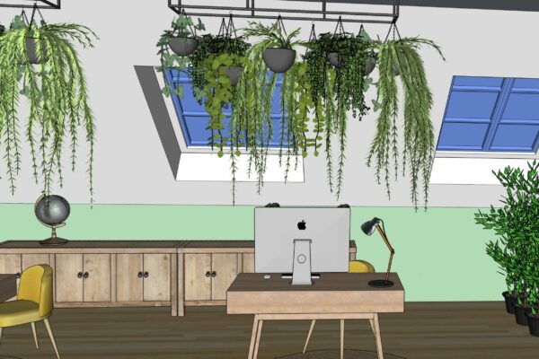 Détail - La jungle sous les toits